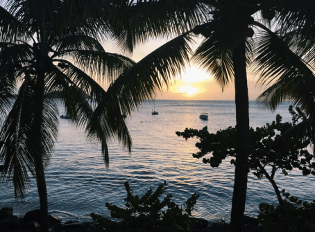 Screen Shot 2015-10-19 at 7.17.15 PM