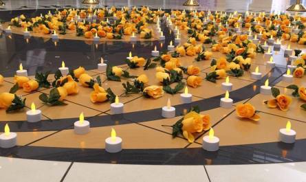 13434976_10105228785219352_6841610719324459626_n